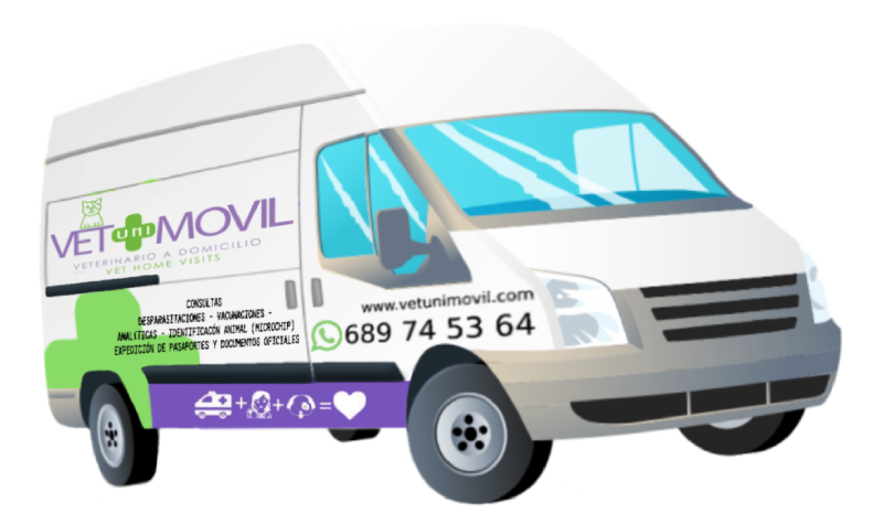 furgoneta_vetunimovil